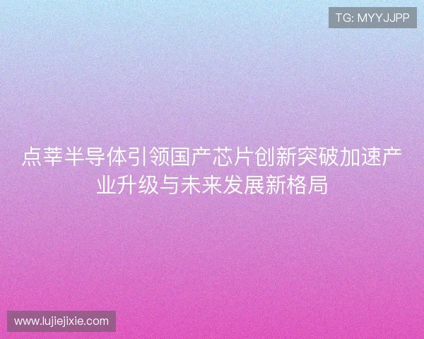 点莘半导体引领国产芯片创新突破加速产业升级与未来发展新格局